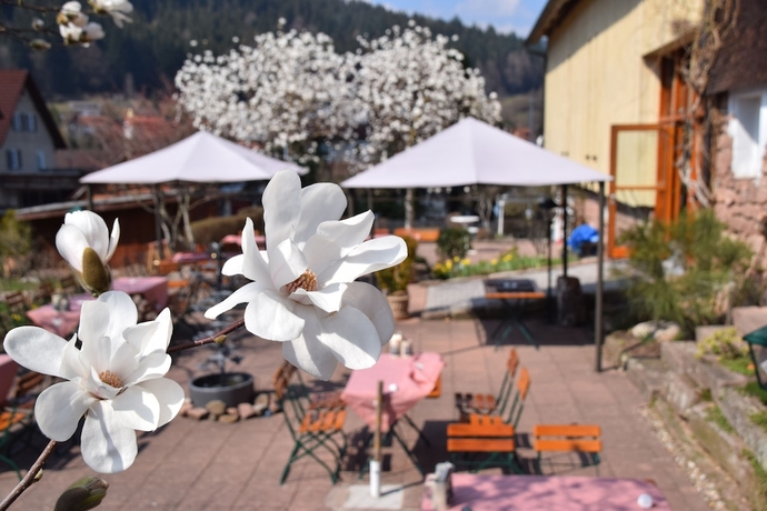 Imagen de los exteriores del Hotel Gutshof Waldknechtshof. Foto 16