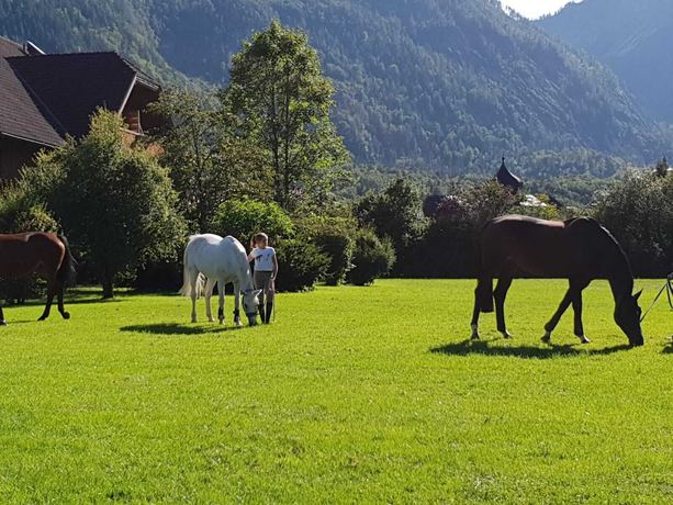 Imagen general del Hotel Gutshof Wolfgangsee Resort and Event. Foto 3