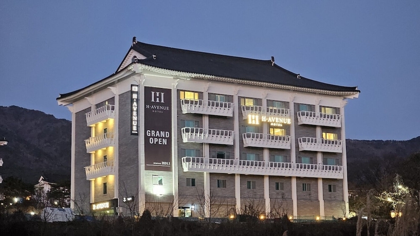 Imagen general del Hotel Gyeongju H Avenue Bulguksa. Foto 1