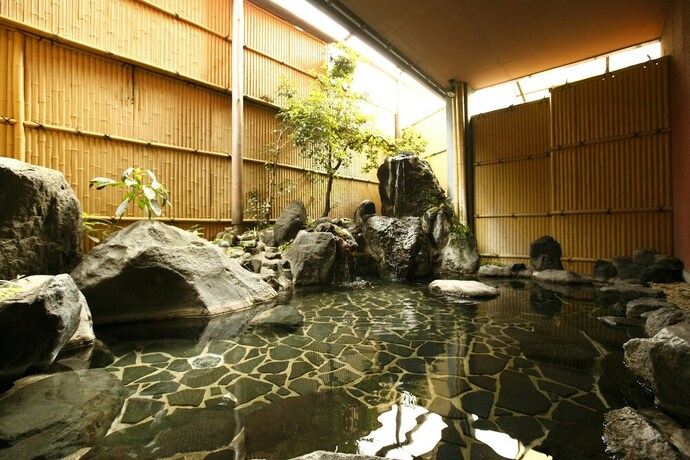 Imagen general del Hotel Gyoan Sasaya. Foto 1