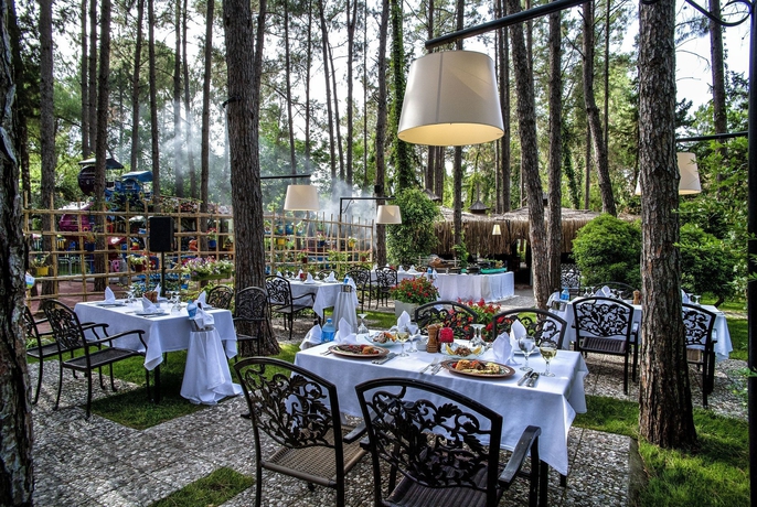 Imagen del bar/restaurante del Hotel Gypsophila Club Marine. Foto 6