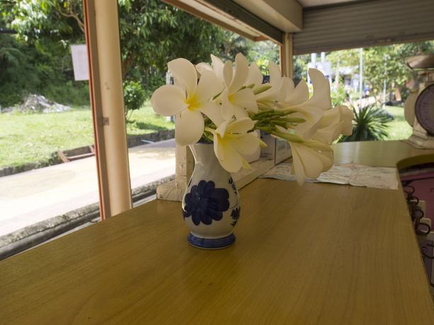 Imagen de los interiores del Hotel Gypsy Village 2. Foto 16