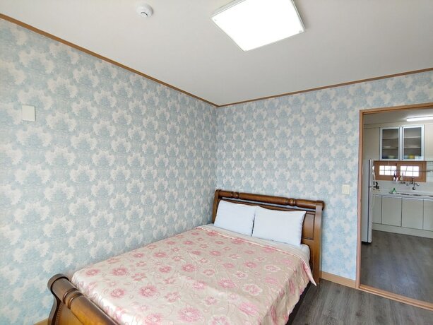 Imagen general del Hotel Gyul House. Foto 14