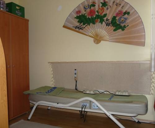 Imagen general del Hotel Gyula Panzio. Foto 10