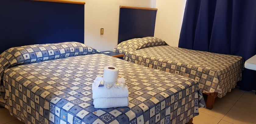 Imagen de la habitación del Hotel H Expo Guadalajara. Foto 5