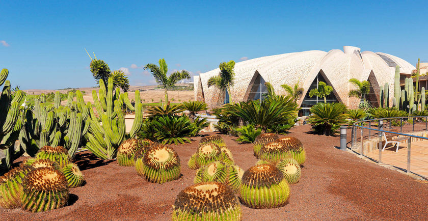 Imagen general del Hotel H10 Playa Meloneras Horizons Collection. Foto 2