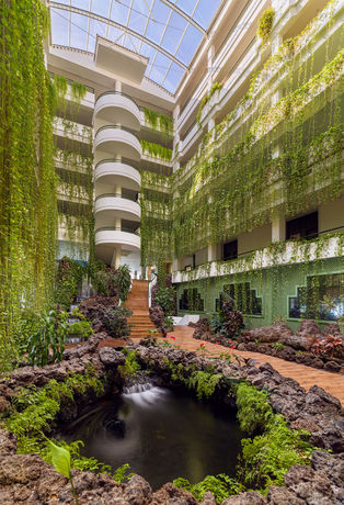 Imagen general del Hotel H10 Taburiente Playa. Foto 15