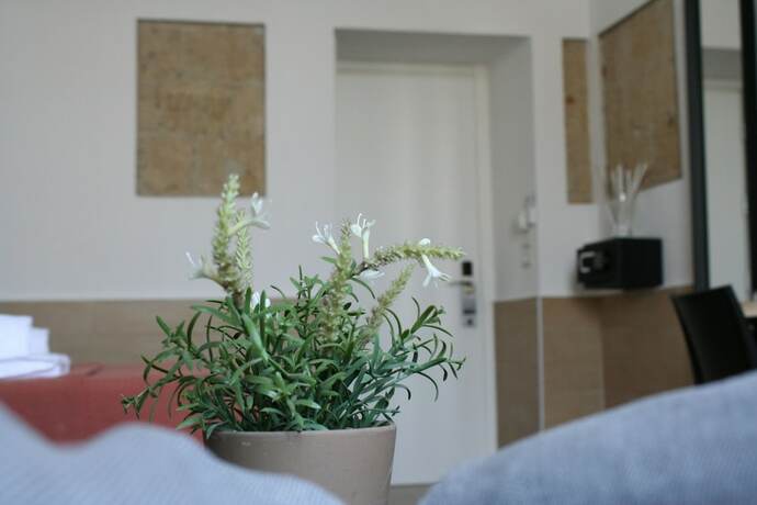 Imagen de la habitación del Hotel H22. Foto 14