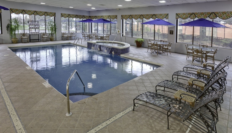 Imagen de la piscina del Hotel HAMPTON INN AIRPORT/ GALLERIA MALL. Foto 15