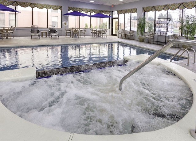 Imagen de la piscina del Hotel HAMPTON INN AIRPORT/ GALLERIA MALL. Foto 16