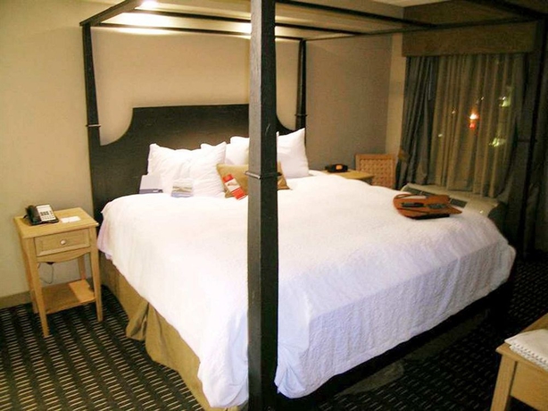 Imagen de la habitación del Hotel HAMPTON INN - SUITES ALBANY-DOWNTOWN. Foto 8