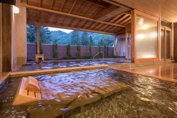 Imagen de la piscina del Hotel HANAMAKI ONSEN HOTEL HANAMAKI. Foto 9