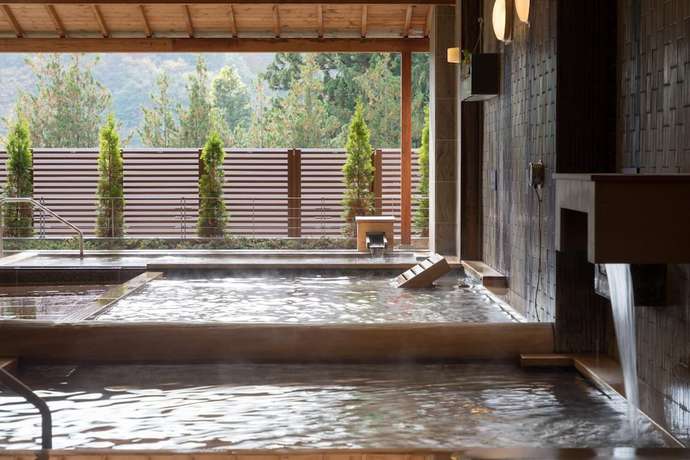 Imagen de la piscina del Hotel HANAMAKI ONSEN HOTEL HANAMAKI. Foto 10