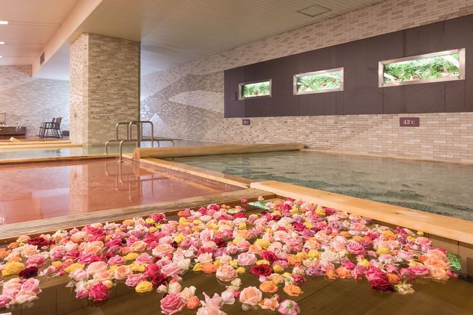 Imagen general del Hotel HANAMAKI ONSEN HOTEL KOYOKAN. Foto 10