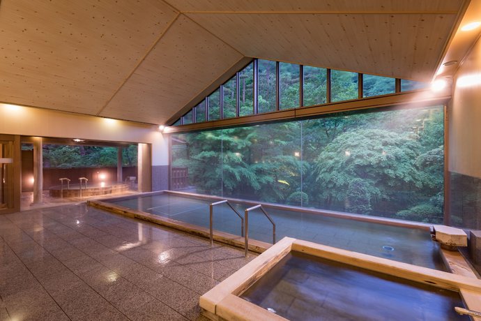 Imagen general del Hotel HANAMAKI ONSEN HOTEL KOYOKAN. Foto 13