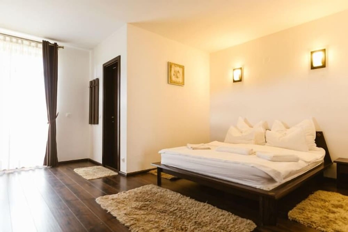 Imagen de la habitación del Hotel HANUL CONITEI. Foto 10