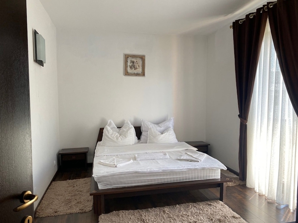 Imagen de la habitación del Hotel HANUL CONITEI. Foto 11