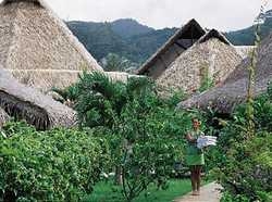 Imagen general del Hotel HAWAIKI NUI (GDN BUNGALOW). Foto 2