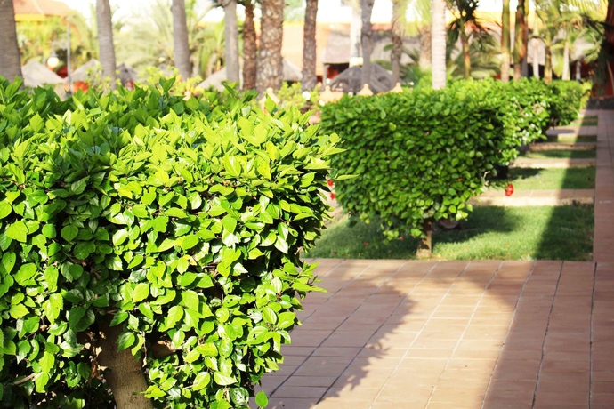 Imagen de los exteriores del Hotel HD Lobos Natura Fuerteventura. Foto 8