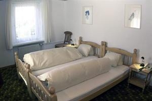 Imagen general del Hotel HEIDIHOF. Foto 3