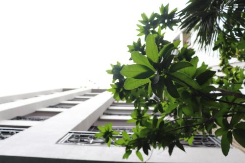Imagen general del Hotel HH & Sky Bar. Foto 3