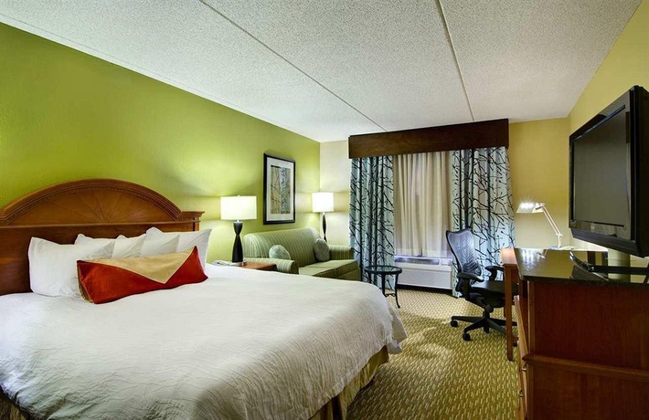 Imagen de la habitación del Hotel HILTON GARDEN INN ALBANY AIRPORT. Foto 4