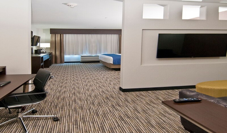 Imagen de la habitación del Hotel HOLIDAY INN AUSTIN AIRPORT. Foto 3