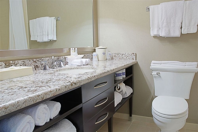 Imagen de la habitación del Hotel HOLIDAY INN EXPRESS - BOCA RATON. Foto 9