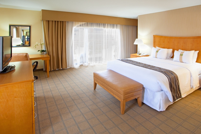 Imagen de la habitación del Hotel HOLIDAY INN HOTEL & SUITES. Foto 4