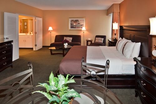 Imagen de la habitación del Hotel HOLIDAY INN ROCHESTER AIRPORT. Foto 3