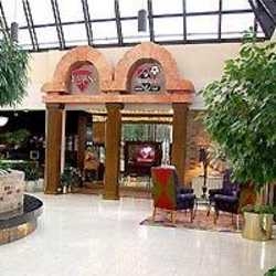 Imagen general del Hotel HOLIDAY INN SELECT - PEACHTRE. Foto 3
