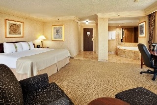 Imagen de la habitación del Hotel HOLIDAY INN & SUITES OTTAWA. Foto 5