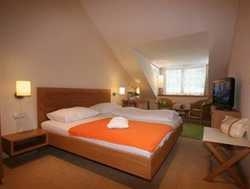 Imagen de la habitación del Hotel HOLLWEGER. Foto 4