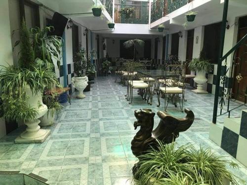 Imagen general del Hotel HOSTAL FAMILIAR FG. Foto 3