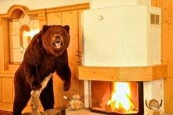 Imagen general del Hotel HOTEL ALP-LARAIN. Foto 7