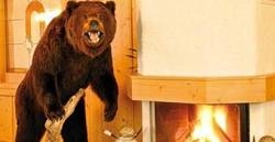 Imagen general del Hotel HOTEL ALP-LARAIN. Foto 8