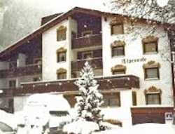 Imagen general del Hotel HOTEL ALP-LARAIN. Foto 16