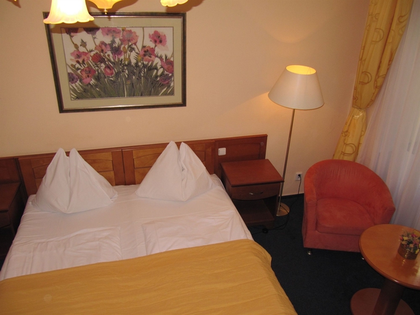 Imagen general del Hotel HOTEL AMADEUS. Foto 2