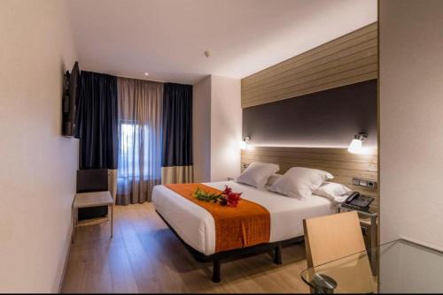 Imagen general del Hotel HOTEL ARANA. Foto 4
