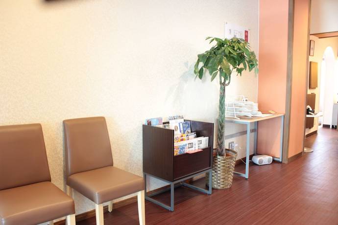 Imagen de los interiores del Hotel HOTEL AXIA INN HAGI. Foto 20