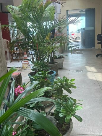 Imagen general del Hotel HOTEL BEIRA MAR. Foto 6