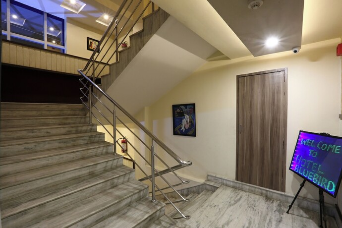 Imagen general del Hotel HOTEL BLUE BIRD. Foto 11