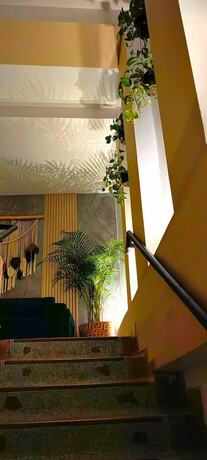 Imagen general del Hotel HOTEL BOHO BOUTIQUE. Foto 5