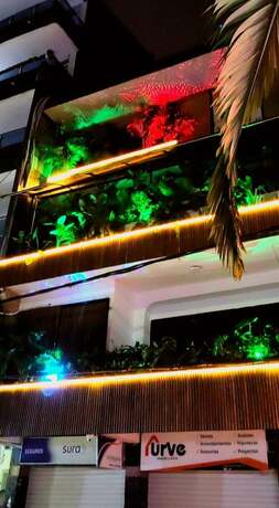 Imagen general del Hotel HOTEL BOHO BOUTIQUE. Foto 10