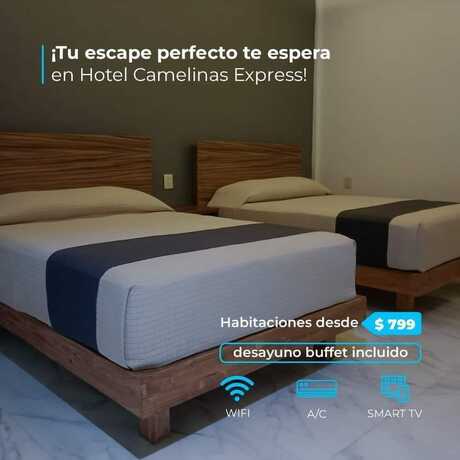Imagen general del Hotel HOTEL CAMELINAS EXPRESS. Foto 8