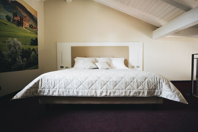 Imagen de la habitación del Hotel HOTEL CASCINA SPERANZA. Foto 13