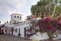 Imagen general del Hotel HOTEL CORTIJO AGUILA REAL. Foto 9