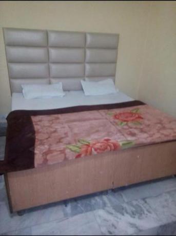 Imagen general del Hotel HOTEL DHANUA PALACE. Foto 12