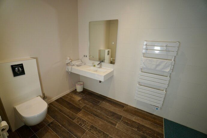Imagen general del Hotel HOTEL DU LION D OR. Foto 5