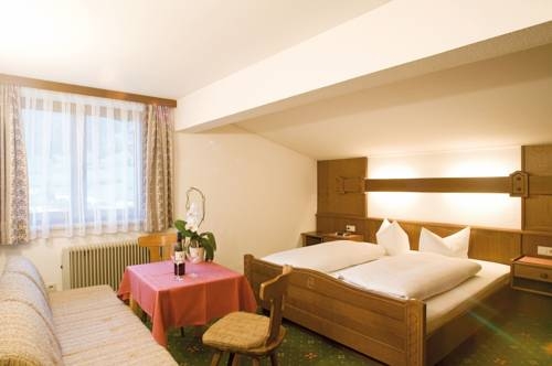 Imagen general del Hotel HOTEL EDELWEISS. Foto 10